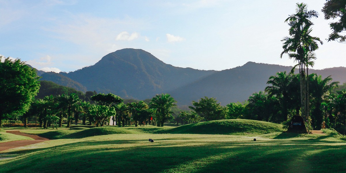 Rate & Book A Tee Time